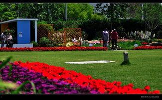 植物园在线观看,在线探索植物园的奇妙之旅 第2张 植物园在线观看,在线探索植物园的奇妙之旅 第2张